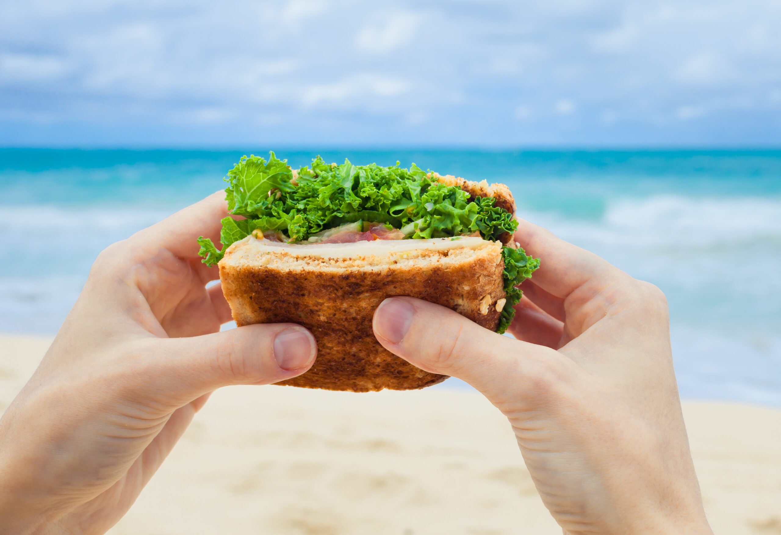 Top 10 Healthy Travel Snacks You Must Carry While Travelling