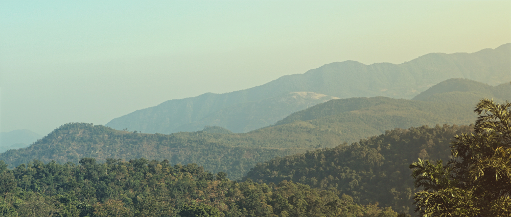 Ananthagiri Hills for a pre-wedding shoot