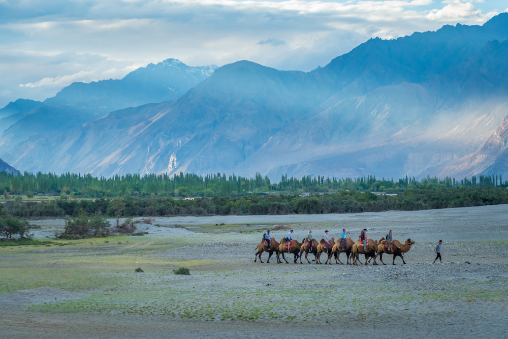 Nubra Valley in leh