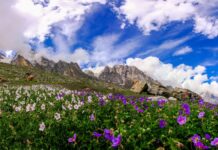 Best Places to Visit in July In India With Family Best Places to Visit in July In India With Family