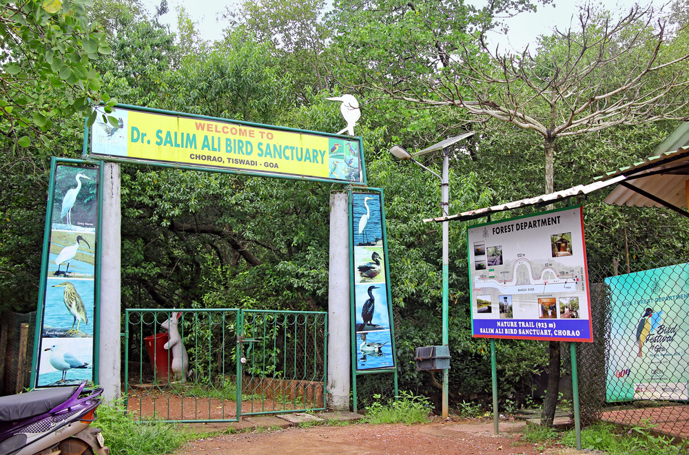 Dr. Salim Ali Bird Sanctuary