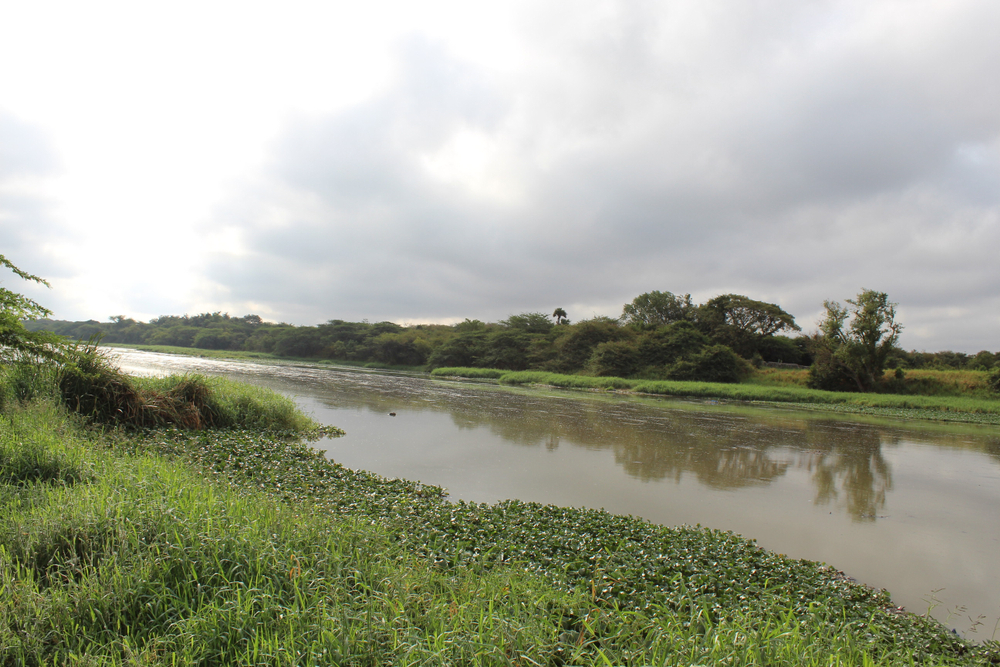 Musi River near Ananthagiri hills