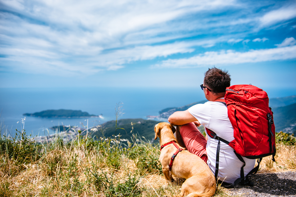 Tips for Travelling with Pets