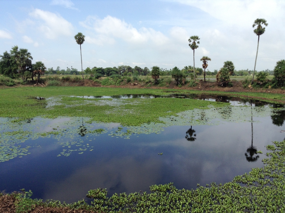 Thyagaraja Temple