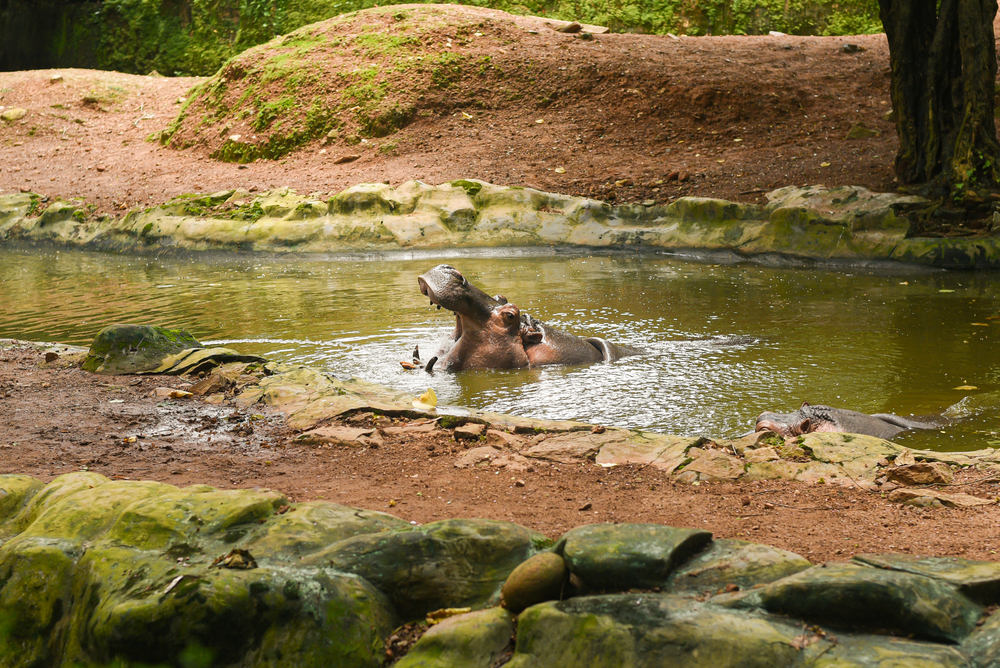 Trivandrum Zoological Park