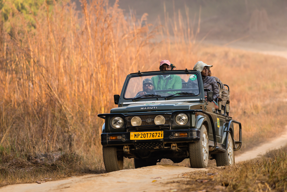 Kanha Tiger Reserve, Madhya Pradesh