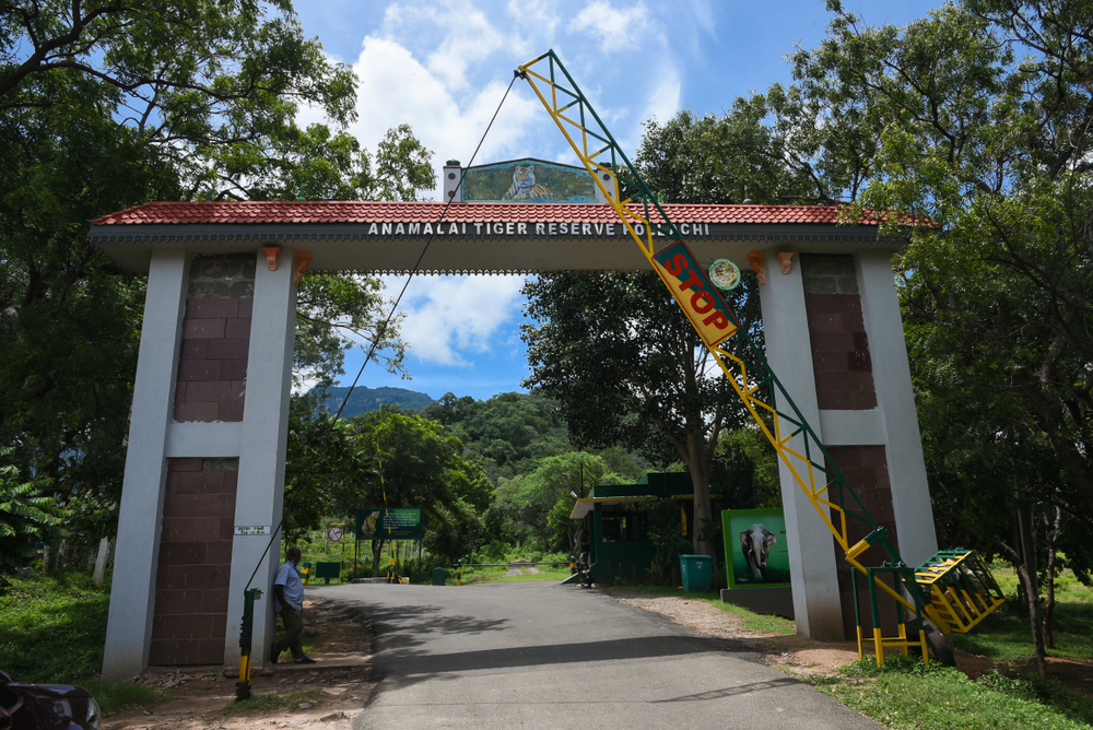 Anamalai Wildlife Sanctuary