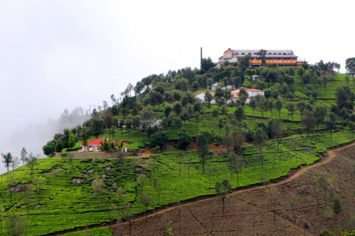 Places to Visit in Coonoor