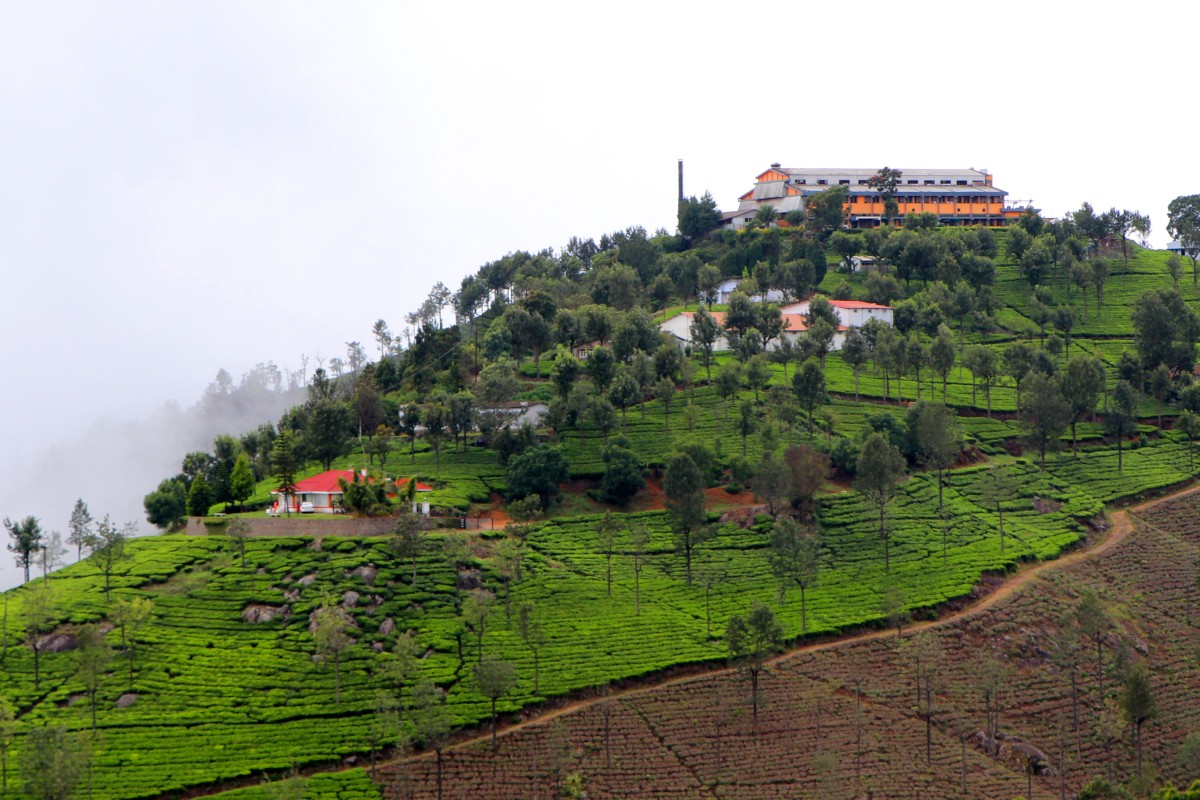 Top 5 Unexplored Places to Visit in Coonoor AbhiBus Travel Blog